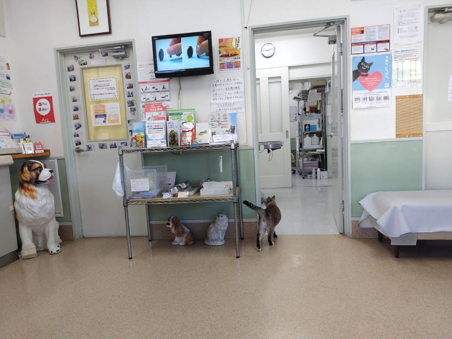 丁寧で親身な診療対応