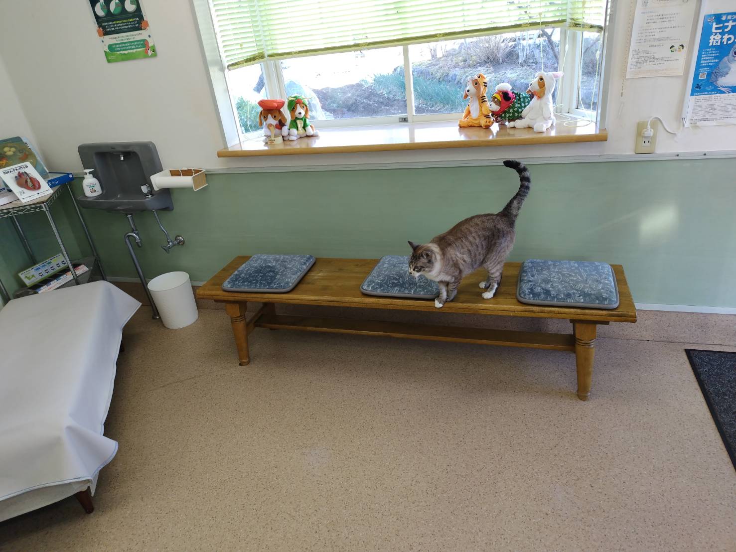 清潔で安心な院内環境