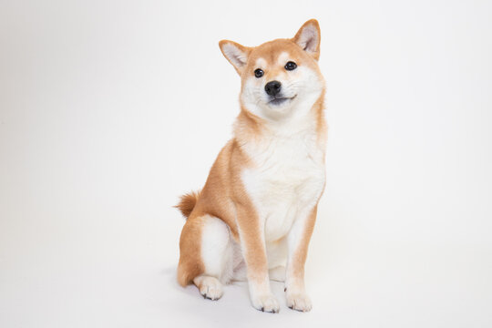画像テスト